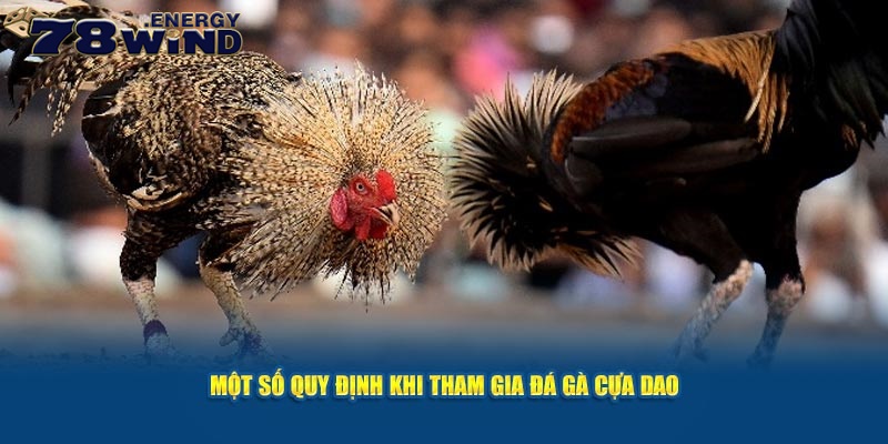 Một số quy định khi tham gia đá gà trực tuyến cựa dao