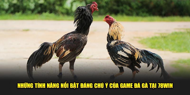 Những tính năng nổi bật đáng chú ý của game đá gà tại 78win