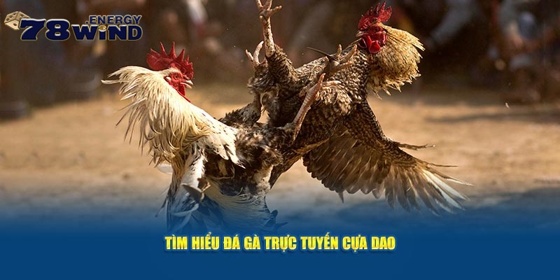 Đôi nét về đá gà trực tuyến cựa dao