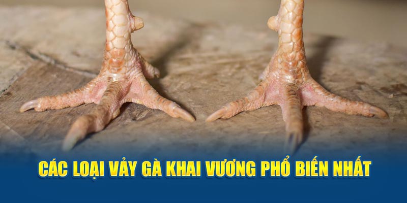 Các loại vảy gà khai vương phổ biến nhất