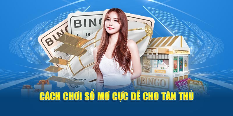 Cách chơi sổ mơ cực dễ cho tân thủ