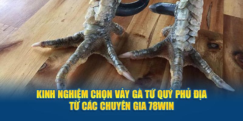 Kinh nghiệm chọn vảy gà tứ quý phủ địa từ các chuyên gia 78win