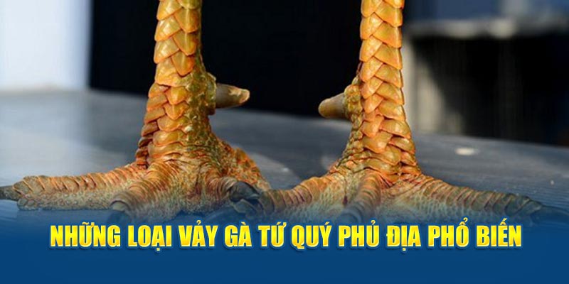 Những loại vảy gà tứ quý phủ địa phổ biến