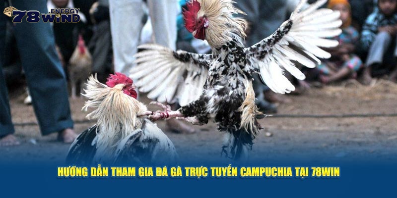 Hướng dẫn tham gia đá gà trực tuyến Campuchia tại 78win